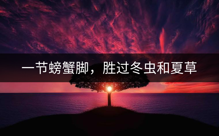 一節(jié)螃蟹腳，勝過(guò)冬蟲和夏草