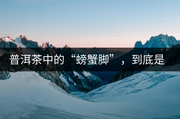 普洱茶中的“螃蟹腳”，到底是什么？如何辨別？