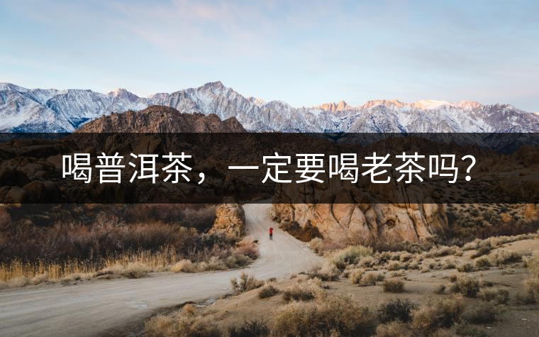 喝普洱茶，一定要喝老茶嗎？