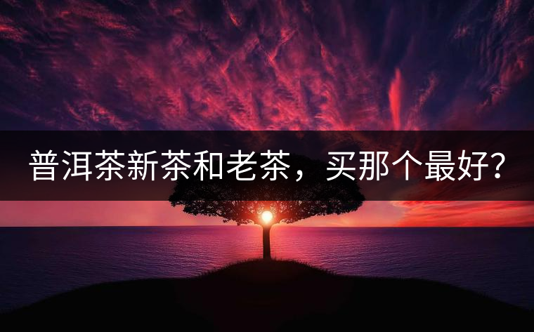 普洱茶新茶和老茶，買(mǎi)那個(gè)最好？