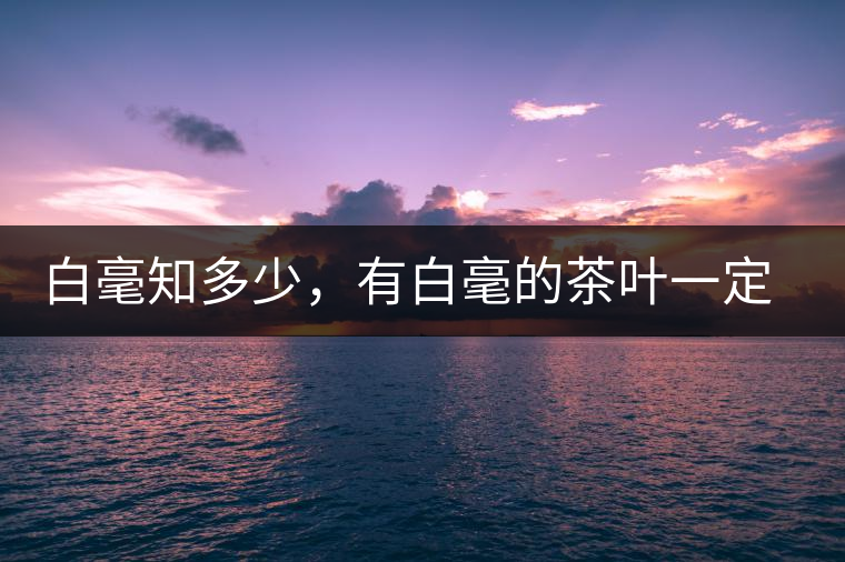 白毫知多少，有白毫的茶葉一定好嗎？