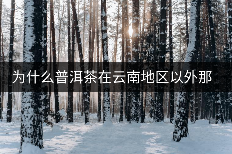 為什么普洱茶在云南地區(qū)以外那么受歡迎？