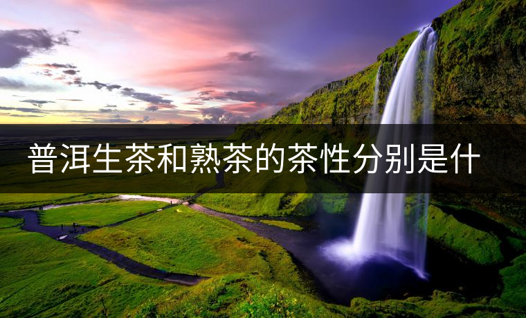 普洱生茶和熟茶的茶性分別是什么？涼性還是熱性？