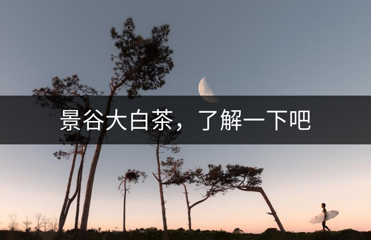 景谷大白茶，了解一下吧