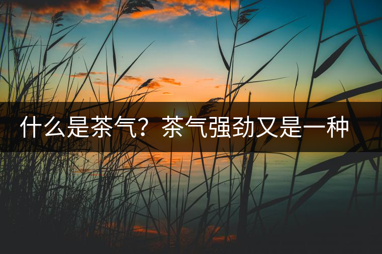 什么是茶氣？茶氣強勁又是一種怎樣的體驗？