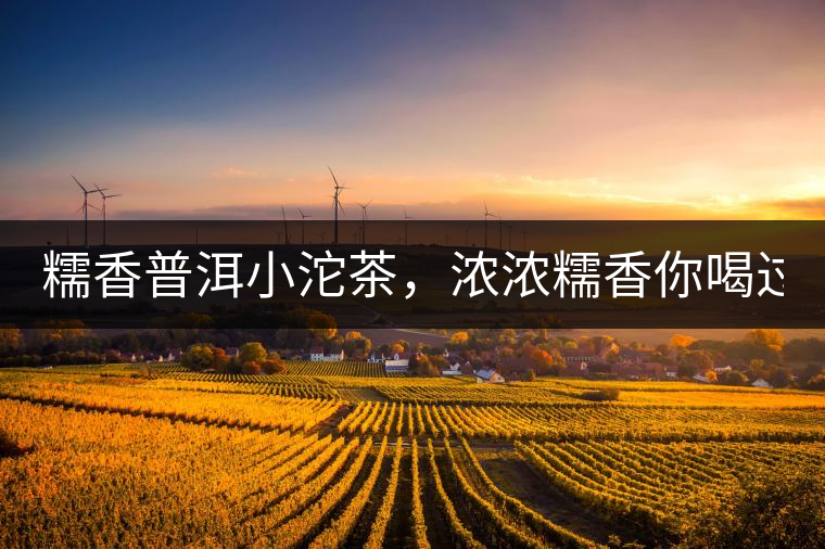 糯香普洱小沱茶，濃濃糯香你喝過嗎？