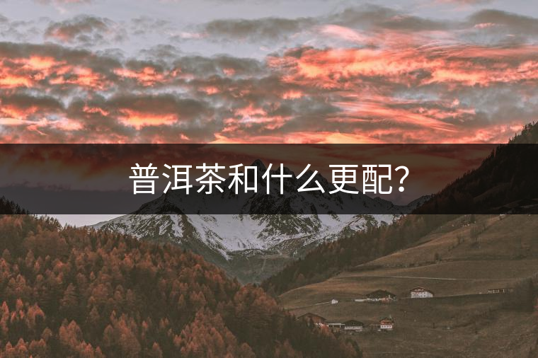 普洱茶和什么更配？