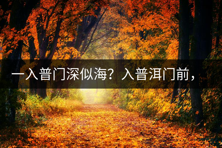一入普門深似海？入普洱門前，你需要了解這些