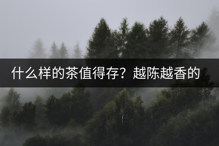 什么樣的茶值得存？越陳越香的本質(zhì)是什么？