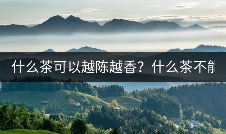 什么茶可以越陳越香？什么茶不能？