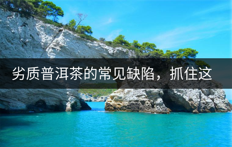 劣質(zhì)普洱茶的常見(jiàn)缺陷，抓住這三個(gè)特征，拒絕劣質(zhì)茶！