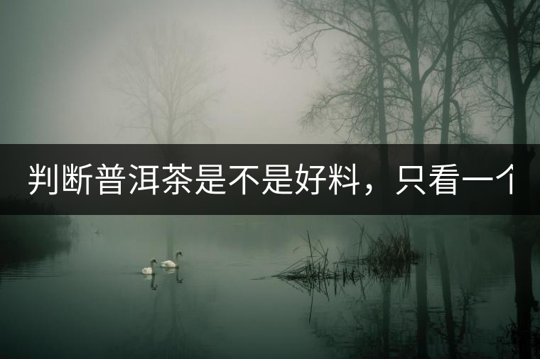 判斷普洱茶是不是好料，只看一個地方！