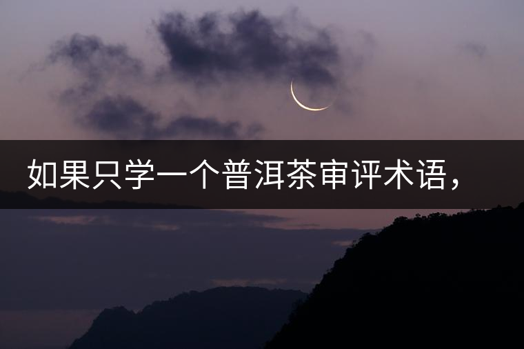 如果只學(xué)一個普洱茶審評術(shù)語，那應(yīng)該是什么？