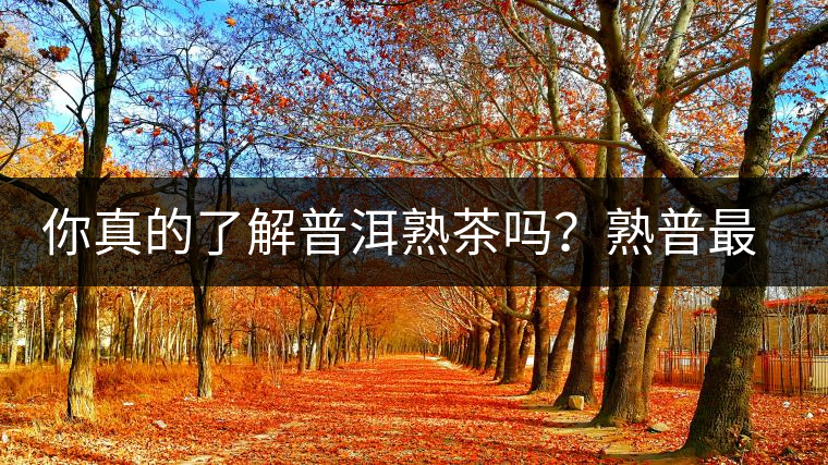 你真的了解普洱熟茶嗎？熟普最詳細(xì)的揭秘都在這里了。