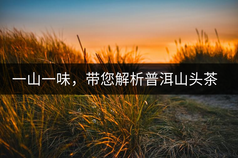 一山一味，帶您解析普洱山頭茶的密碼究竟是什么？