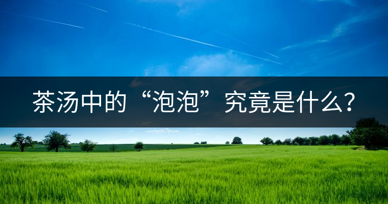 茶湯中的“泡泡”究竟是什么？