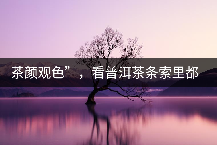 茶顏觀色”，看普洱茶條索里都蘊(yùn)含著怎樣的“密碼”？