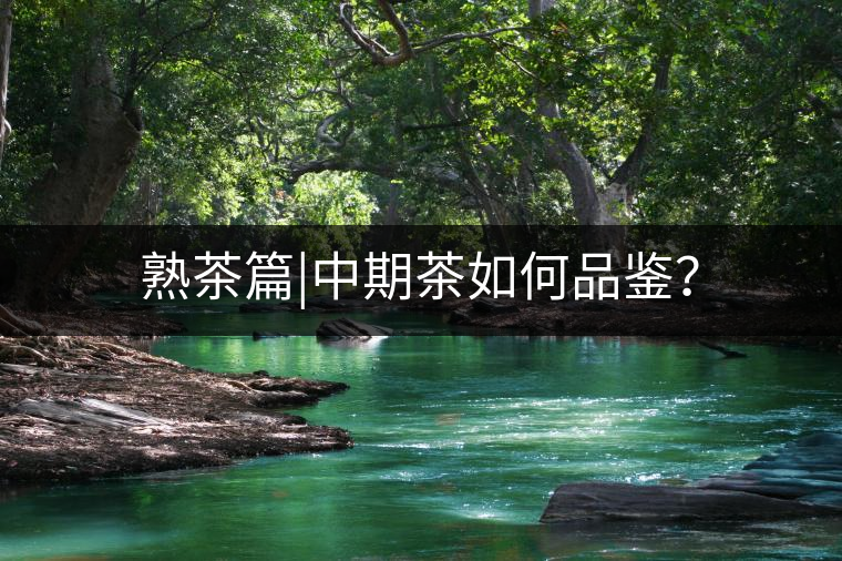 熟茶篇|中期茶如何品鑒？