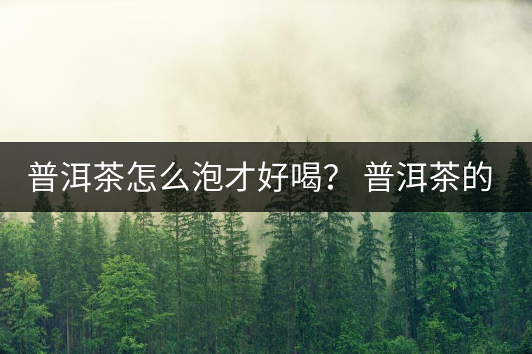 普洱茶怎么泡才好喝？ 普洱茶的沖泡技巧！