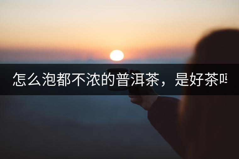 怎么泡都不濃的普洱茶，是好茶嗎？