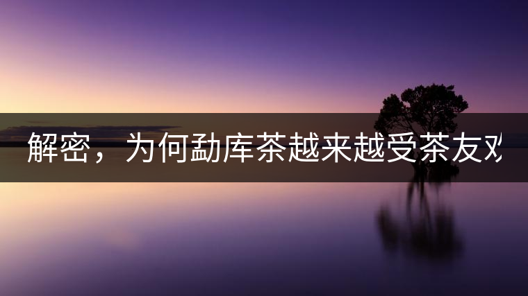 解密，為何勐庫茶越來越受茶友歡迎！