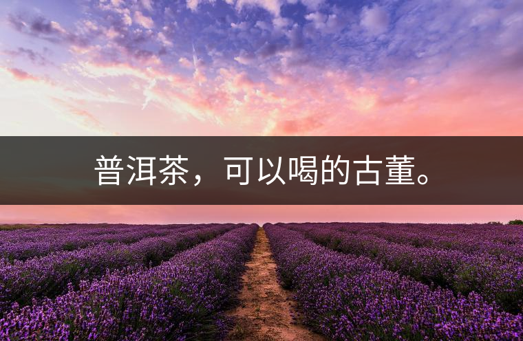 普洱茶，可以喝的古董。