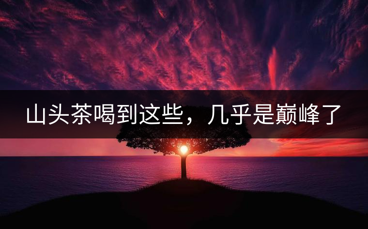 山頭茶喝到這些，幾乎是巔峰了