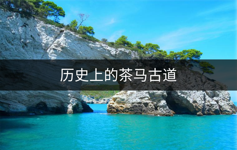 歷史上的茶馬古道 歷史上的茶馬古道