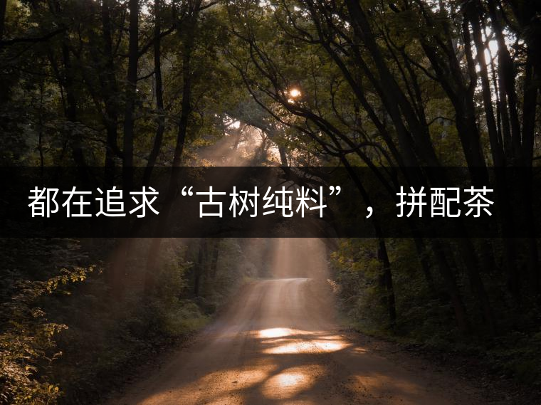 都在追求“古樹純料”，拼配茶真的不如純料的？