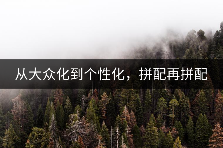 從大眾化到個性化，拼配再拼配