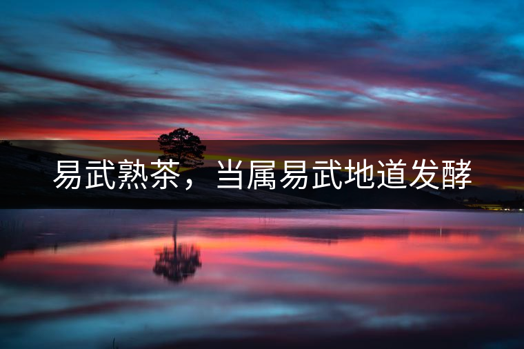 易武熟茶，當屬易武地道發(fā)酵