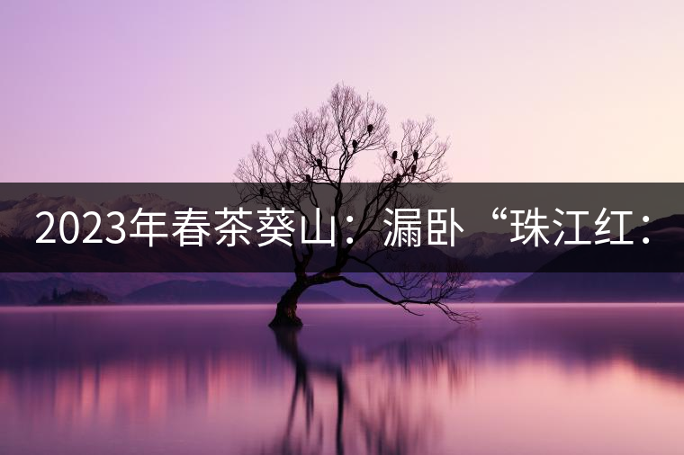 2023年春茶葵山：漏臥“珠江紅：1200元-3200元（有3個(gè)檔次）漏臥“大廠茶”：古樹(shù)單株8600-9000元／公斤，中樹(shù)4800-5200元／公斤，小樹(shù)混采2600-2800元／公斤。
