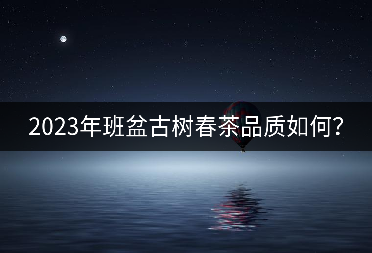 2023年班盆古樹春茶品質(zhì)如何？