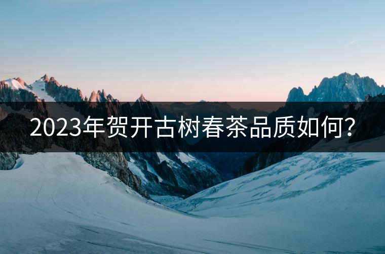 2023年賀開古樹春茶品質(zhì)如何？
