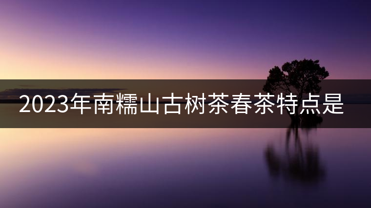 2023年南糯山古樹茶春茶特點(diǎn)是什么？