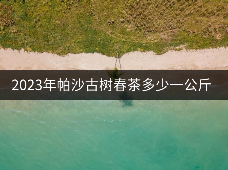 2023年帕沙古樹春茶多少一公斤？