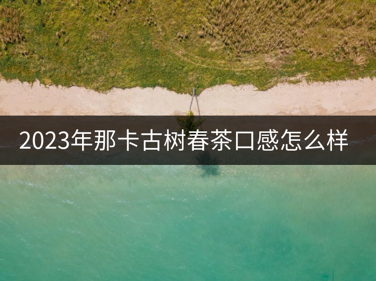 2023年那卡古樹春茶口感怎么樣？