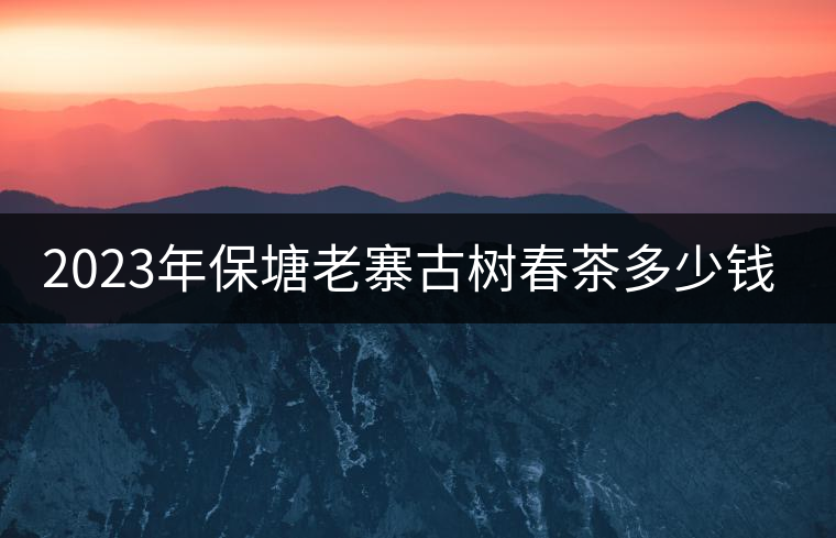 2023年保塘老寨古樹(shù)春茶多少錢一公斤？