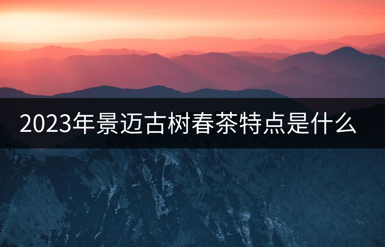 2023年景邁古樹春茶特點是什么？