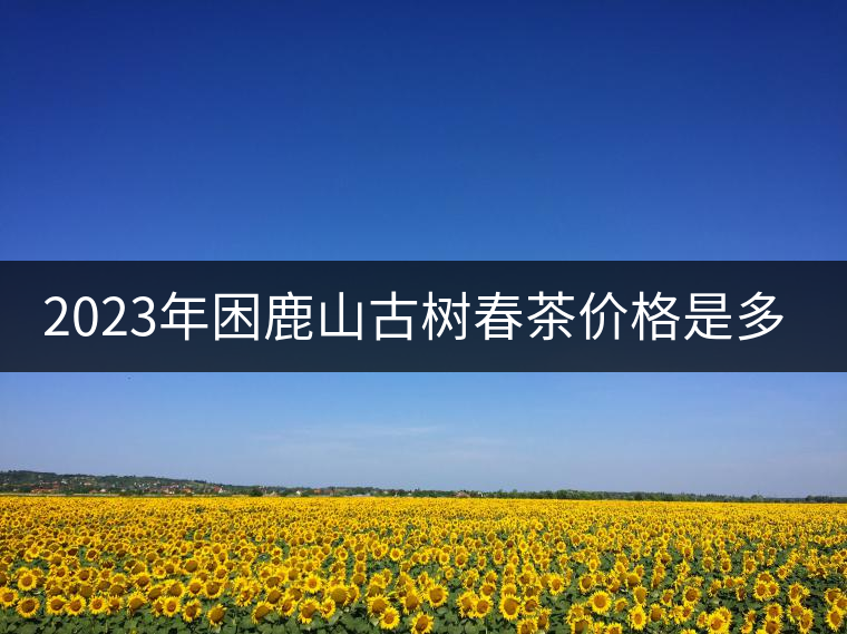2023年困鹿山古樹春茶價格是多少？