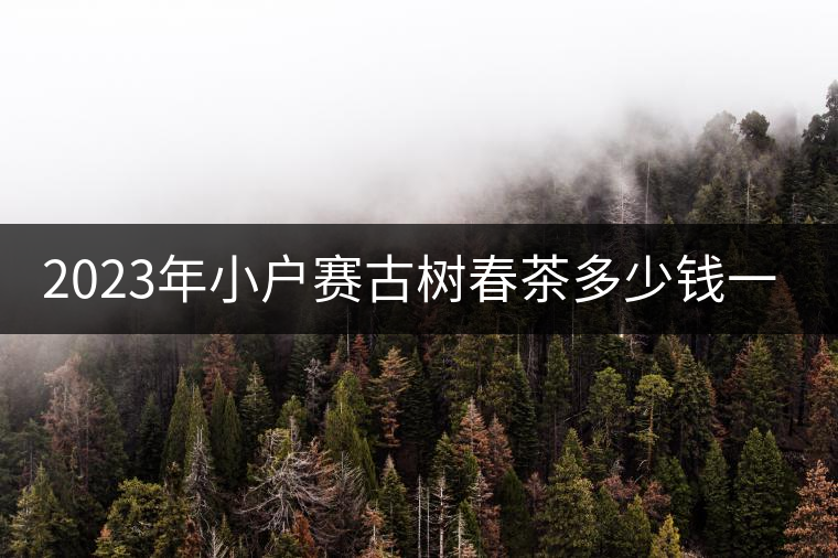 2023年小戶賽古樹春茶多少錢一公斤？