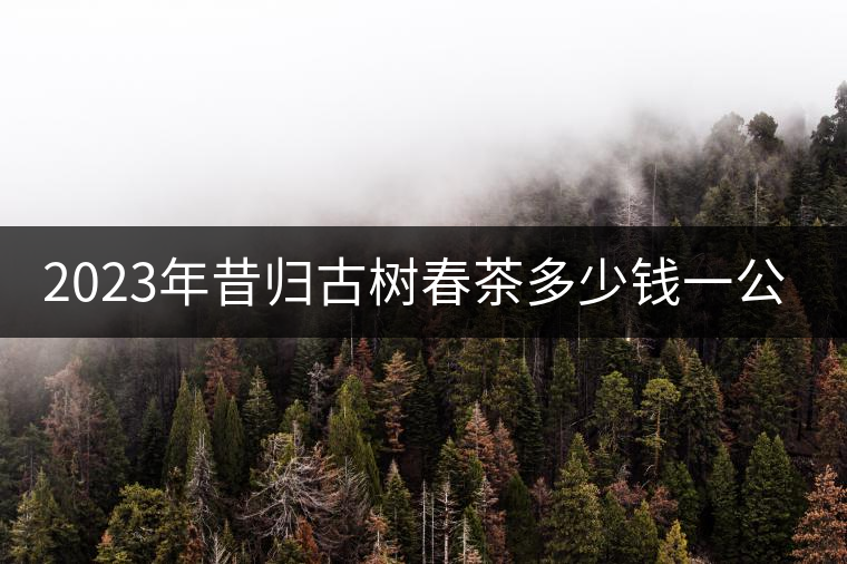 2023年昔歸古樹春茶多少錢一公斤？
