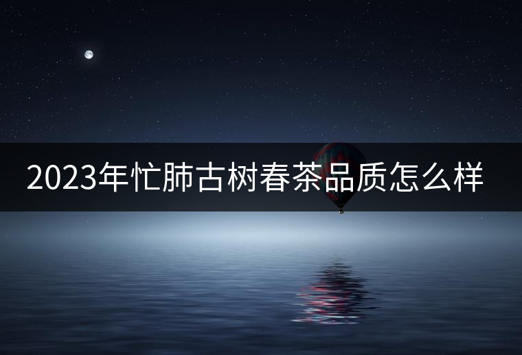 2023年忙肺古樹春茶品質(zhì)怎么樣？