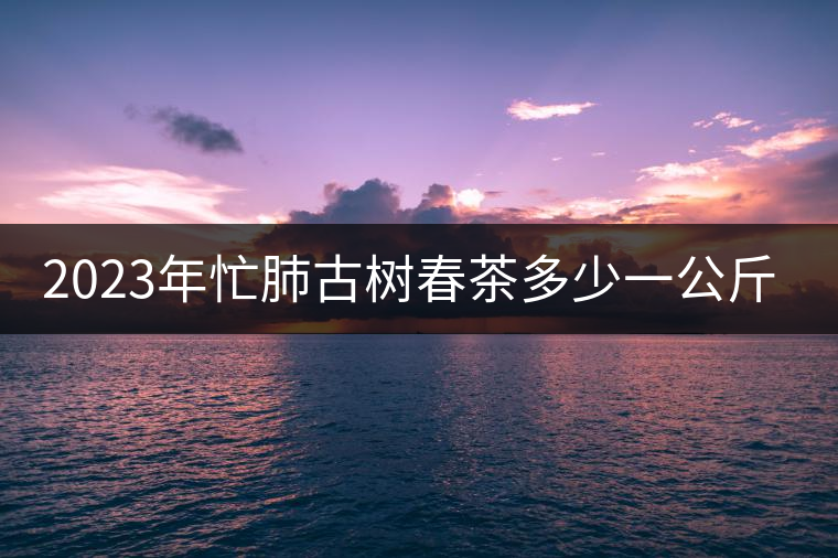 2023年忙肺古樹春茶多少一公斤？