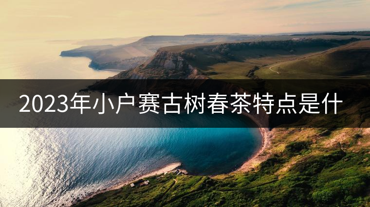 2023年小戶賽古樹(shù)春茶特點(diǎn)是什么? 2023年小戶賽古樹(shù)春茶特點(diǎn)是什么?