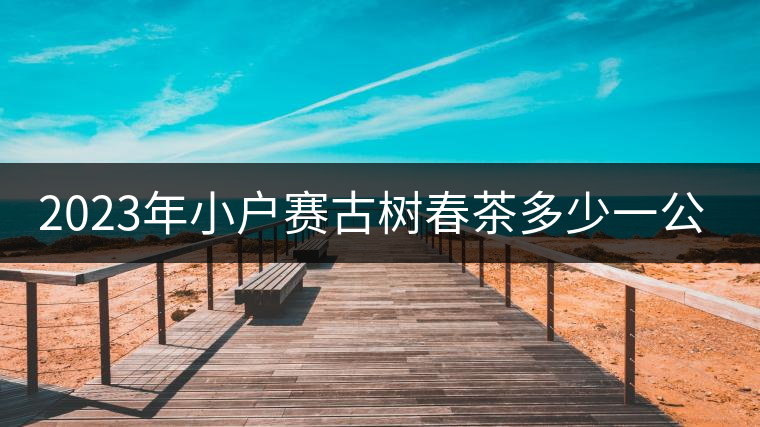 2023年小戶(hù)賽古樹(shù)春茶多少一公斤？