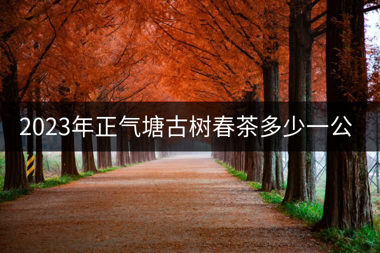 2023年正氣塘古樹春茶多少一公斤？