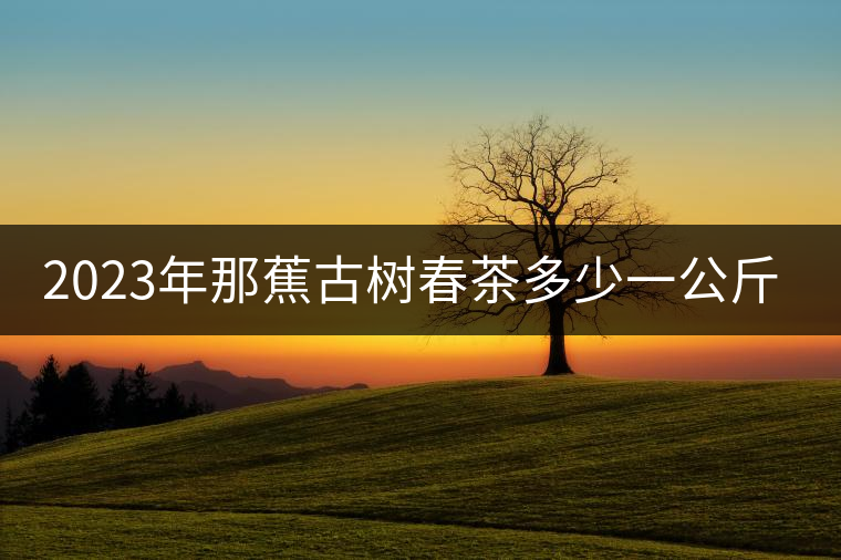 2023年那蕉古樹春茶多少一公斤？