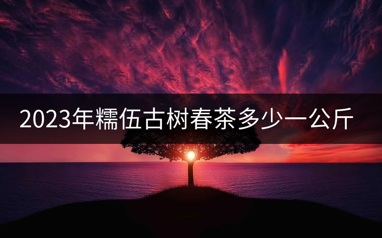 2023年糯伍古樹春茶多少一公斤？