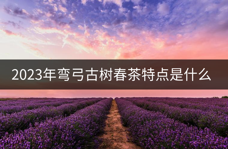 2023年彎弓古樹春茶特點是什么？